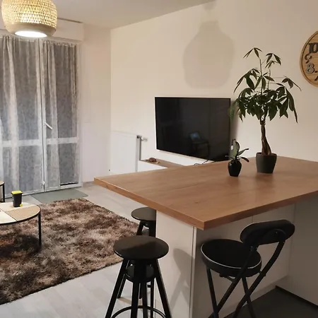 Apartment Viroflay *
